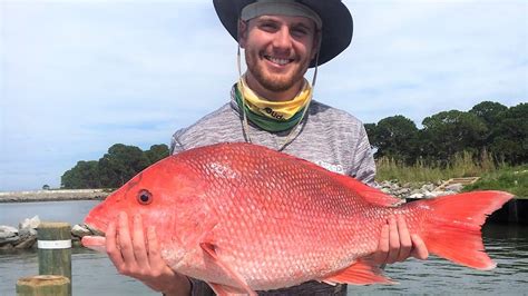 dauphin island charter fishing|Exceptional Fishing Charters in Dauphin Island.